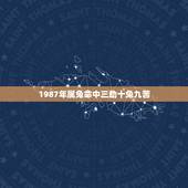 1987年属兔命中三劫十兔九苦，87年属兔属兔的是什么命
