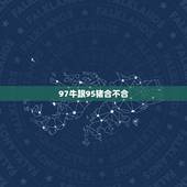 97牛跟95猪合不合，95男属猪和97女属牛