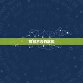 属猴不合的属相，属猴的跟什么属相比较和，什么属相不和？