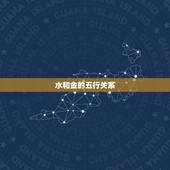 水和金的五行关系，五行属金和属水的字合适吗