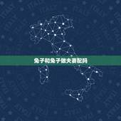 兔子和兔子做夫妻配吗，属兔能不能和属兔的在一起