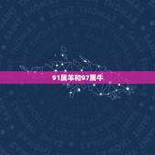 91属羊和97属牛，91属羊的和97属牛的配么？