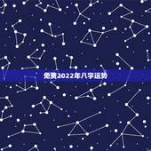 免费2022年八字运势，2022年运势12生肖运势详解