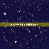 属猪今年下半年的财运怎么样，今年属猪的财运和运气如何2021年