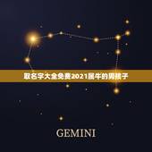 取名字大全免费2021属牛的男孩子，2021年男宝宝起名字大全寓意好