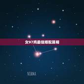 女97鸡最佳婚配属相，属鸡女的婚配和什么属相最好？