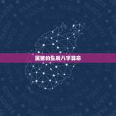 属猪的生辰八字算命，95过往之猪命好吗