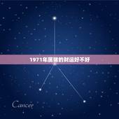 1971年属猪的财运好不好，71年属猪养什么花财运好