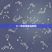 十一月的虎命运如何，2022 生肖虎
