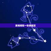 属相婚配一张表搞定，属龙的和什么属相最配 属龙人的婚配表
