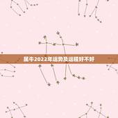 属牛2022年运势及运程好不好，85属牛一生有几次婚姻