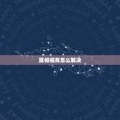 属相相克怎么解决，夫妻属相相克怎么办