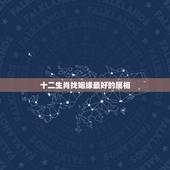 十二生肖找姻缘最好的属相，十二生肖姻缘配对