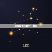 属相相克不能在一块吗，属相相克真的不能在一起吗？