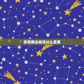 命带两朵桃花什么意思，正缘可能是二婚的吗