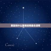 属鼠和什么属相结婚最合适呢，属老鼠的和什么结婚最好？