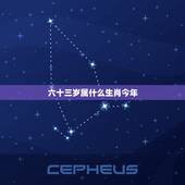 六十三岁属什么生肖今年，二o一二满六十三岁属相是什么