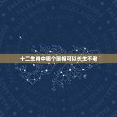 十二生肖中哪个属相可以长生不老，十二生肖老鼠会长生不老吗