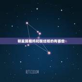 明星属相鸡和猴结婚的有哪些，属鸡与属猴的婚姻如何