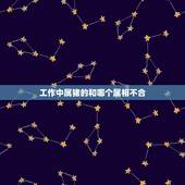 工作中属猪的和哪个属相不合，属猪和什么属相不合