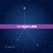 1914年是什么属相，1914年出生人的纳音属什么命
