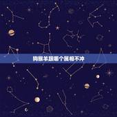 狗猴羊跟哪个属相不冲，属羊和属狗结婚当天避讳什么属相？