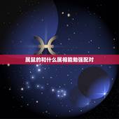 属鼠的和什么属相能勉强配对，鼠男和什么属相最配