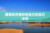 属相年月相冲的自己和自己冲吗，生肖相冲表