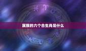 属猴的六个合生肖是什么，属猴的和什么属相最配