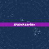 属龙的和属鼠的婚配么，属相婚配：男属龙和女属鼠相配吗