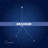 属兔九月份运势，属兔的今年运气怎样？1963年出生的，男