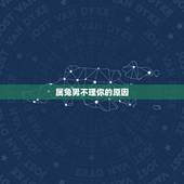 属兔男不理你的原因，属兔男的软肋是什么