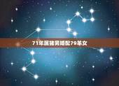 71年属猪男婚配79羊女，女的79年属羊的和男的71年属猪的合不合，男