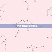 一把香燃烧后像开的花，一把香烧香形状成一花状？