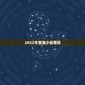 2022牛宝宝小名男孩，2022 牛宝宝最火乳名满米