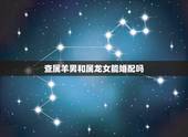 查属羊男和属龙女能婚配吗，属羊男和属龙女的婚姻