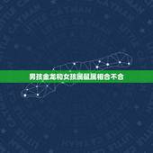男孩金龙和女孩属鼠属相合不合，男的属相龙和女的属相马配吗？