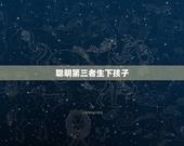 聪明第三者生下孩子，和第三者生的孩子如何上户口？