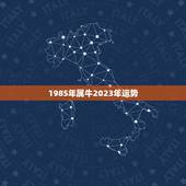 1985年属牛2023年运势 1985年属牛人运势