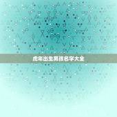 虎年出生男孩名字大全 2022虎年最旺男孩霸气名字