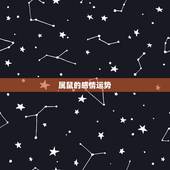 属鼠的感情运势，2022 年属鼠人的姻缘