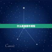什么属相跟牛婚配，属牛和属龙的人相配吗？