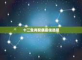 十二生肖配偶最佳选择，十二生肖最佳配偶