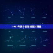 1997年属牛的婚姻配对更佳，1997属牛的婚姻和命运