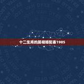 十二生肖的属相婚配表1985，74年和85年属相婚配表