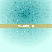 午马真名叫什么，午马百度百科