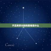 子丑寅卯分别的属相是什么，子丑寅卯辰巳午未申酉戌亥分别为几月