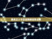 属虎之人今日运势牌运怎么样，2021年5月5日属虎人那天玩牌最好