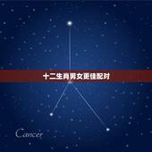 十二生肖男女更佳配对，十二生肖配对表男女