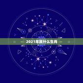 2021年属什么生肖，2021年45岁属什么生肖？